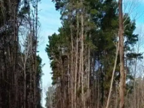 Terreno en Venta de 945,0 m2