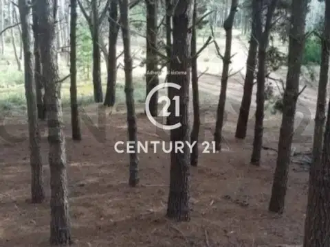 BARRIO SERENA 1 NRO 399 300, Piso 0