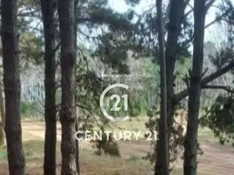 Terreno en Venta en Villarobles, USD 38.000