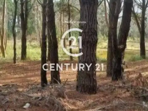 Venta de Lote - Barrio Villa Robles Pinamar