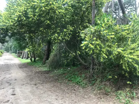 Terreno en Venta de 750,0 m2