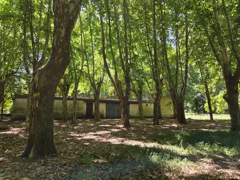 Campo en Pilar 21,87 has. Ideal polo o desarrollo