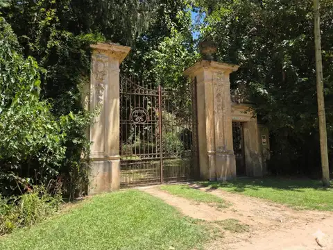 Vasco Da Gama al 100