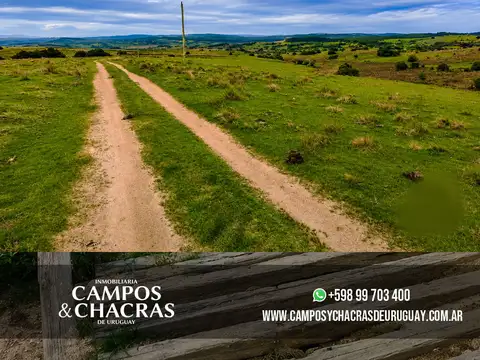 Campo en venta de 22 hectáreas en el entorno privilegiado de Pueblo Garzón, departamento de Maldonado, Uruguay.