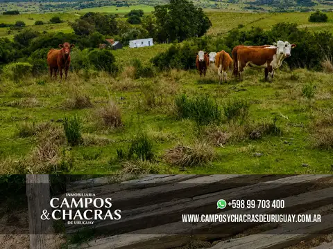 Camino Sierras de Garzón/ Camino Los Nietos, Maldonado, Uruguay.