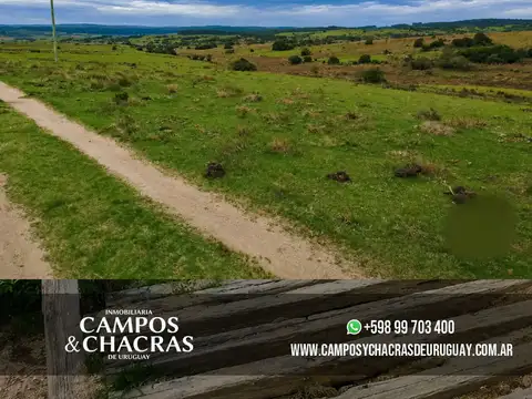Camino Sierras de Garzón/ Camino Los Nietos, Maldonado, Uruguay.
