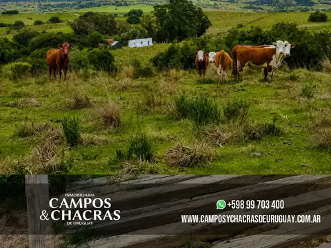Campo en Venta de 22  ha