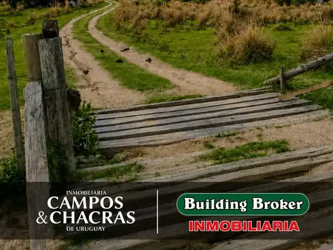 Campo en Venta Ganadero