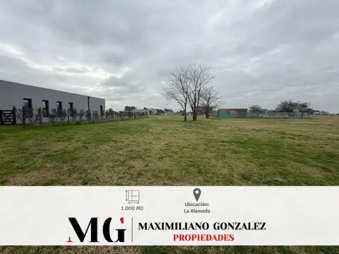 Lote venta - La Alameda
