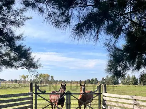 Terreno en Venta en Estancia Las Malvinas, USD 22.000
