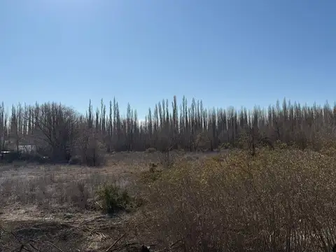 Terreno en Alquiler en Centenario, USD 3.500