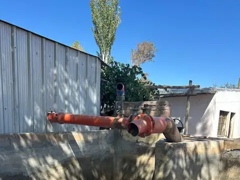 FINCA EN VENTA. 25 HAS EN PRODUCCIÓN DE AJO