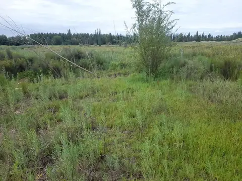 VENTA LOTE RODEO DEL MEDIO