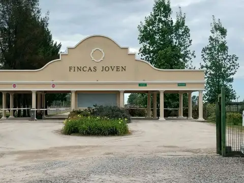 LOTE EN FINCAS DE SAN VICENTE JOVEN