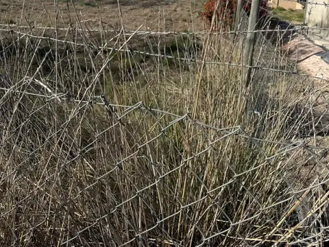 Terreno en Venta 70  mts Fondo