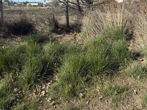 Terreno en Venta 35  mts Frente