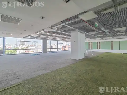 Oficina en Alquiler con 12 cocheras