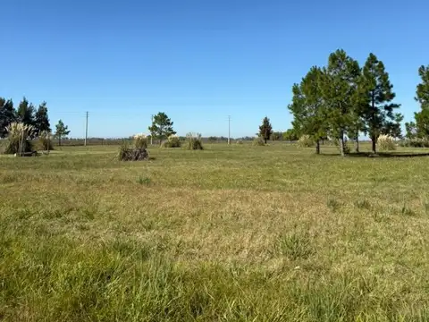 Campo en venta, Marcos Paz.