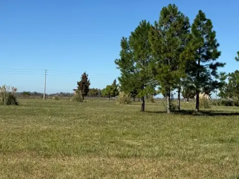 Campo en venta, Marcos Paz.