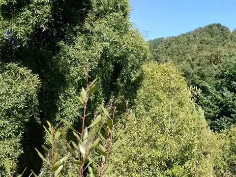 Terreno en Venta de 382,0 m2