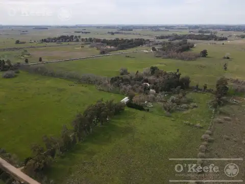 Campo en Venta en Coronel Brandsen, Partido de Brandsen