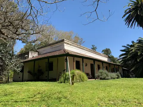 Chacra en venta en Brandsen 42 has -  70% Agricola - Sobre Ruta 210
