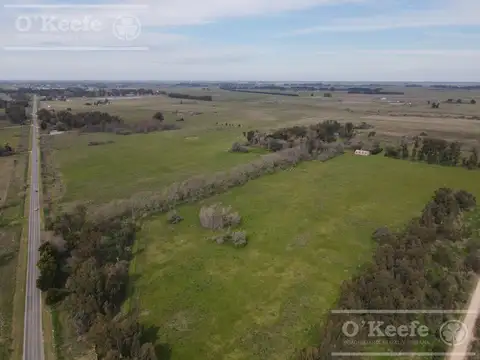 Chacra en venta en Brandsen 42 has -  70% Agricola - Sobre Ruta 210