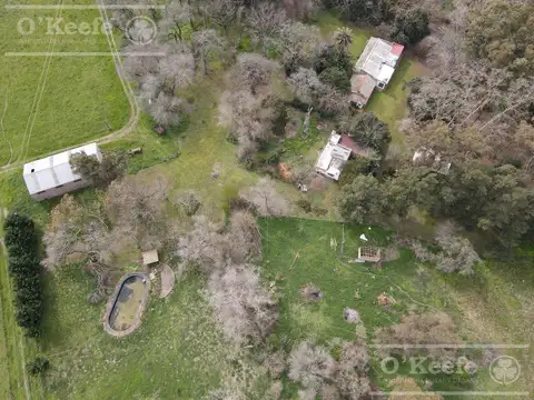 Chacra en venta en Brandsen 42 has -  70% Agricola - Sobre Ruta 210