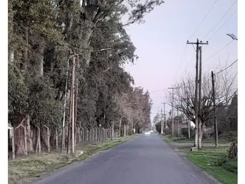 Terreno en Venta de 300,0 m2