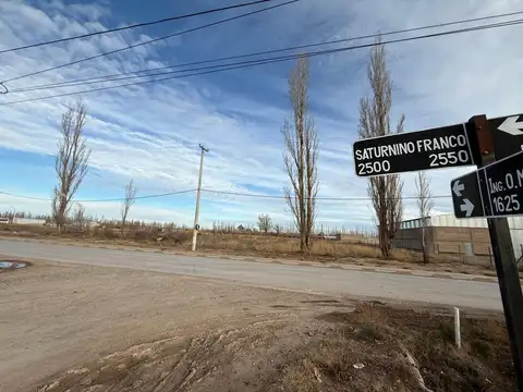 Saturnino Franco 2500