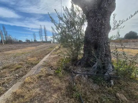 Terreno en Venta en Luján de Cuyo, USD 22.000