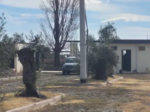 Terreno en Venta de 1000,0 m2
