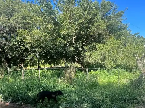 Mariano Moreno & Formosa