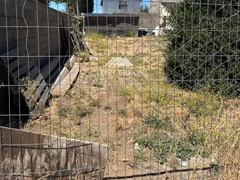 PEHUENES