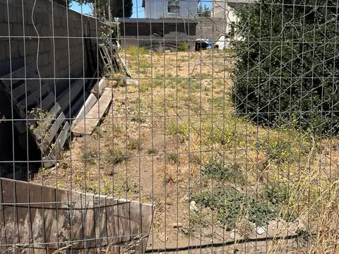 PEHUENES