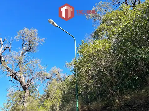 Los Mollares - LOTE 727