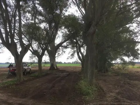 La Celina, San Pedro, Buenos Aires