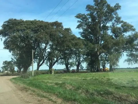 Venta de campo 5HAS en la Celina, San Pedro