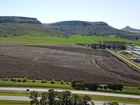 Balcarce. Lotes de 15.000 m2 sobre Autovía 226