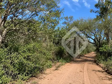 RP 13, La Union, Rivadavia, Salta