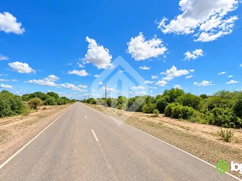 Campo ganadero 1000 ha de monte sobre ruta asfaltada | rivadavia b. sur | salta