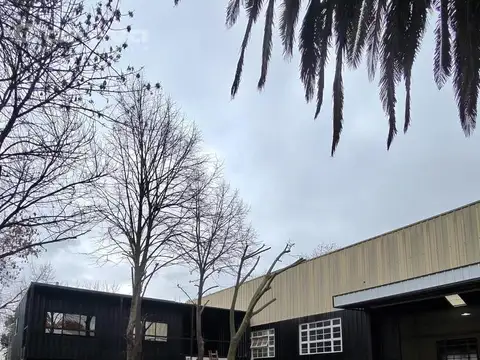 Euler al 2300
