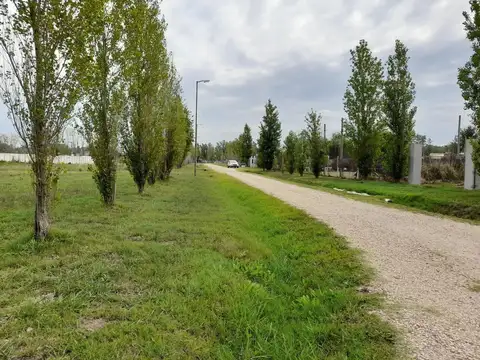 Terreno en Venta de 1000,0 m2
