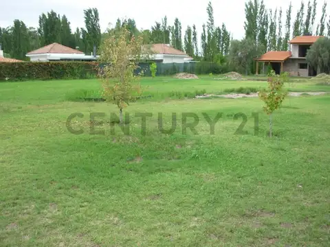 Terreno en Venta 40  mts Frente