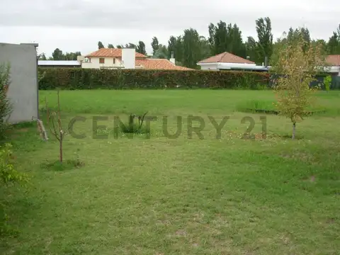 Alzaga 4100, Piso 0