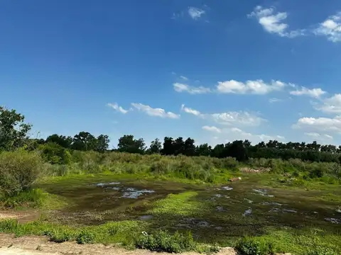 Terreno en Venta de 557,0 m2