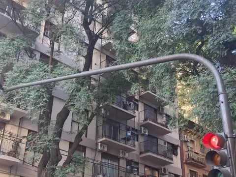 Mario Bravo 1000
