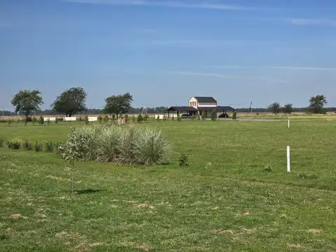 Terreno en Venta de 2007,0 m2