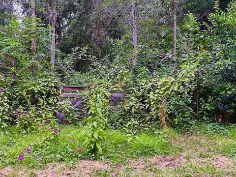 Terreno en Venta de 582,0 m2