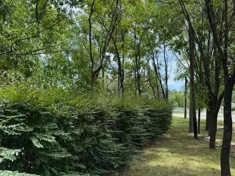 Terreno Lote  en Venta en El Remanso, Exaltación de la Cruz, G.B.A. Zona Norte